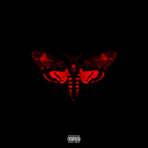 Lil Wayne I Am Not A Human Being II tracklist